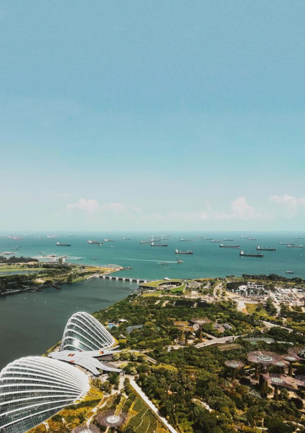 singapore solo travel guide